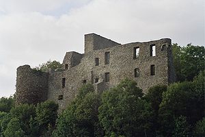 ruine_van_het_kasteel_virneburg.jpg